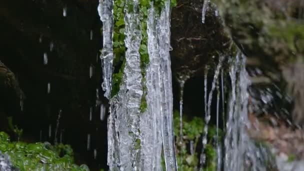 在山河瀑布上的长而美丽的冰柱的特写。森林中冰冻的溪流. — 图库视频影像