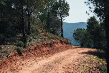 Ormanda dönerek Catalunia dağlarına giden yol.