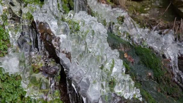 凍った水を閉じる。山の中の氷の滝。水は草、苔、石を流れる。繊維状の氷の形成. — ストック動画