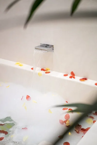 Rose petals put in bathtub with foam for romantic bathroom atmosphere. View through green leaves of a plant. — Stock Photo, Image