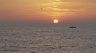 İspanya 'nın Barselona kentindeki Akdeniz' de gün doğumunda balıkçı teknesi ve uçan martı.