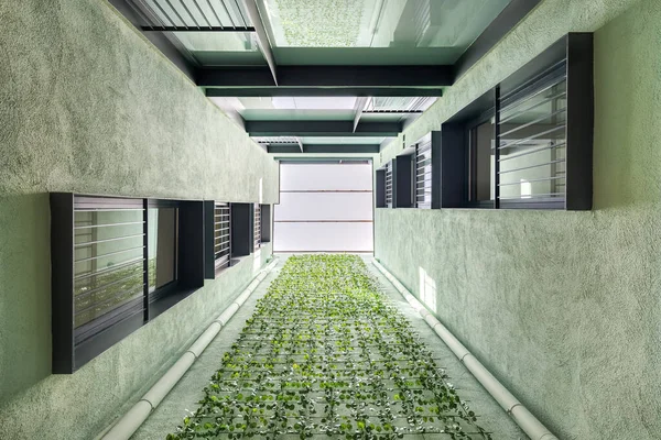 Vista panorámica del moderno edificio residencial con jardinería vertical en Barcelona. Ventanas negras colocadas asimétricamente y paredes verdes. — Foto de Stock