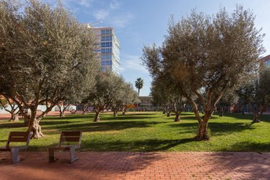 Barselona, Katalonya, İspanya denizinin yanındaki modern yerleşim bölgesinde ağaç ve bankları olan güzel yeşil bir park..