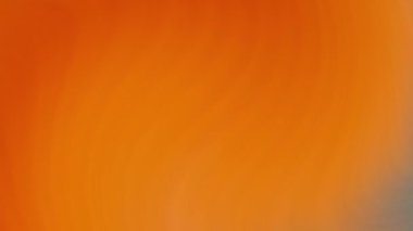 3D Soyut Animasyon Renkli Dalgalı Yumuşak Duvar. Çoklu Renkli Sıvı Düzeni kavramı. Turuncu Dalgalı Yansıma Yüzey Macro. Moda Renkli Sıvı Soyutlama Akışı. Güzel Gradyan Dokusu