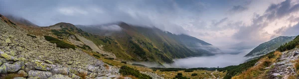 Foggy Mountain Landscape — Stock Photo, Image