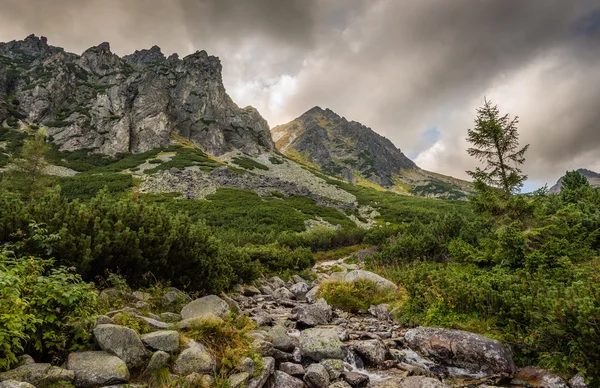 Bir dere ile dağ manzarası — Stok fotoğraf