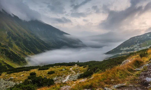 Ködös hegyvidéki táj — Stock Fotó