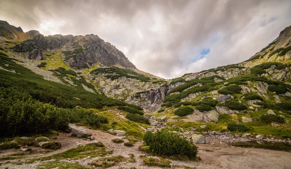 Bulutlu bir günde dağ manzarası — Stok fotoğraf