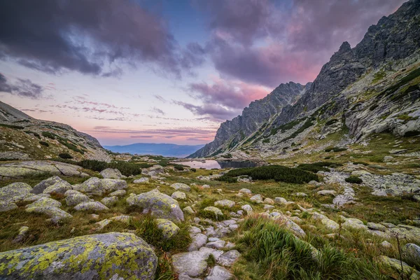 Горный пейзаж с тарном и скалами — стоковое фото