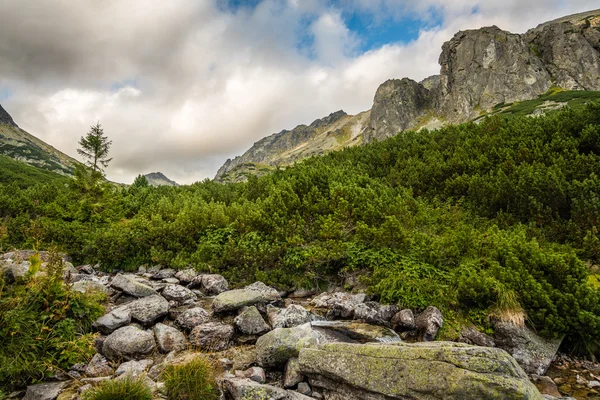 Mountain Landscape on Cloudy Day — Stock Photo, Image