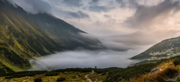 Nebelige Berglandschaft — Stockfoto