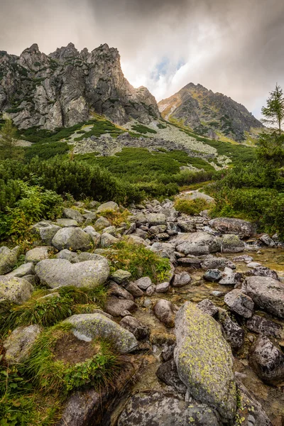 Hegyi táj egy patak — Stock Fotó