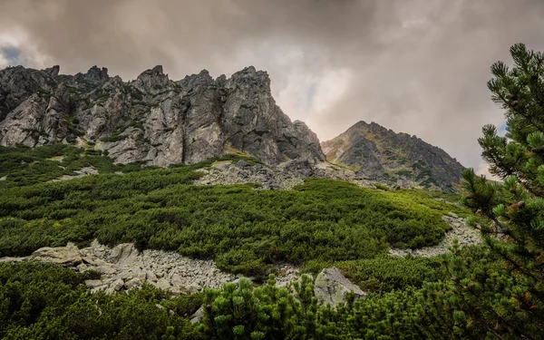 Evening Mountain Landscape — Stock Photo, Image