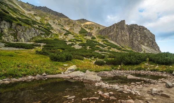 Mountain Landscape on Cloudy Day — Stock Photo, Image