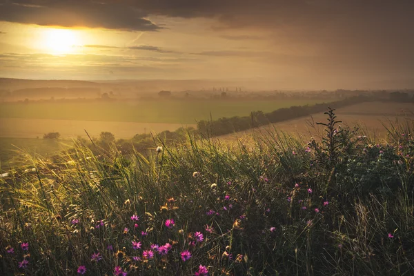 Paysage au coucher du soleil — Photo