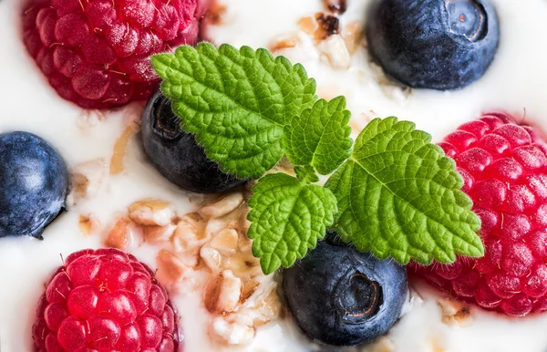 Yogur con bayas frescas, avena y melisa —  Fotos de Stock