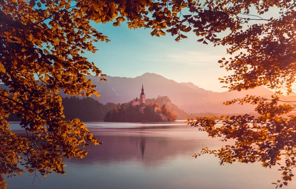 Malý ostrov s katolickou církví v Bledské jezero, Slovinsko na Su — Stock fotografie