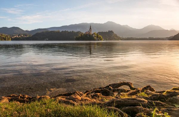 Ostrov s kostelem v Bledské jezero, Slovinsko při východu slunce — Stock fotografie