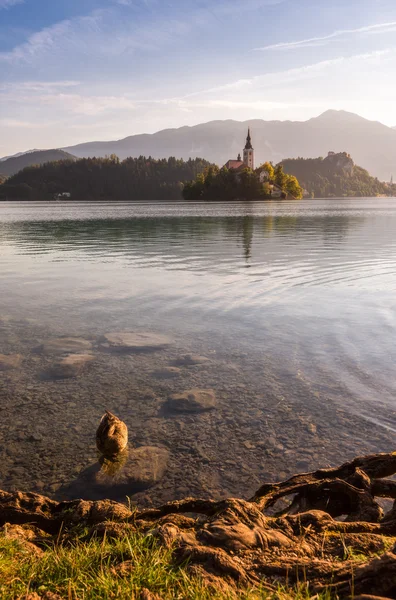 Insel mit Kirche im See, Slowenien bei Sonnenaufgang — Stockfoto