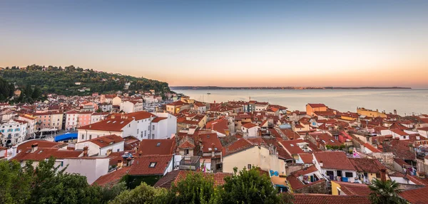 Näkymä kaupunkiin Piran, Slovenia — kuvapankkivalokuva