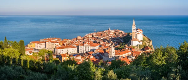 Solbelysta gamla staden Piran på morgonen. — Stockfoto