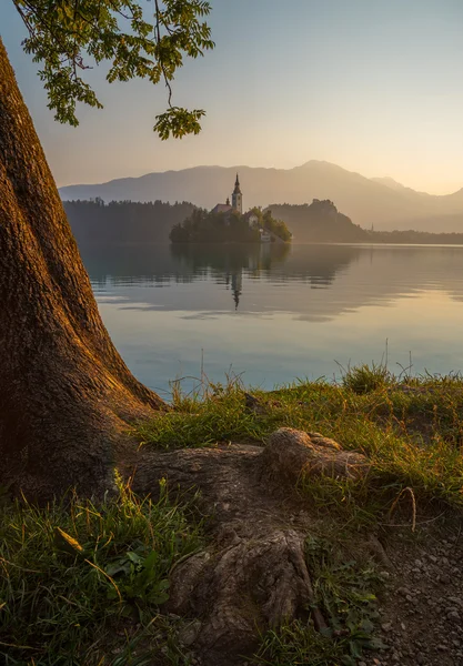 Insel mit Kirche im See, Slowenien bei Sonnenaufgang — Stockfoto