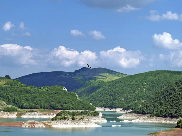 Hábito Las Águilas Gyps Fulvus Lago Uvac Suroeste Serbia — Foto de Stock