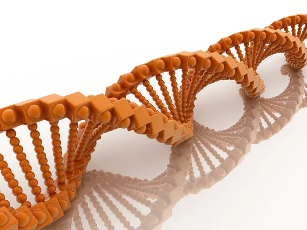 Estructura del ADN —  Fotos de Stock