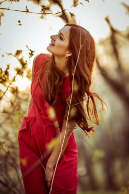 Kızıl saçlı Bayan niteliğine