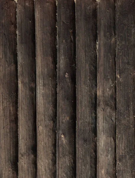 Kütük ahşap dikey arka plan. Doğal desenli eski kozalaklı kütükler.