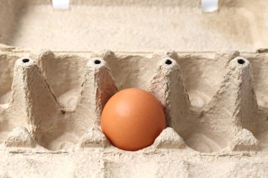 Eko kağıt tepsi yumurta karton ve yumurta yakın plan. Geri dönüştürülebilir doğal kaynaklar ve plastik reddetme kavramı.