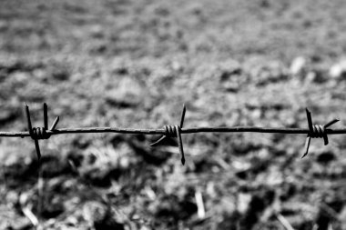 Dikenli teller yakın plan. Uluslararası Köle Ticaretini Anma Günü ve onun kaldırılma konsepti. Uluslararası Soykırım Anma Günü