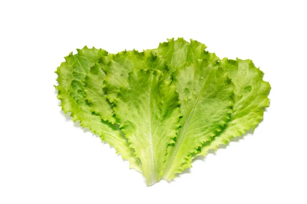 Green Lettuce Leaves Lettuce Isolated White Background Shadows Flat Lay — ストック写真