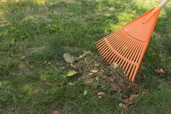 Bladhöst Och Borttagning Hösten Kratta Löv Äng Med Krattor Trädgården — Stockfoto