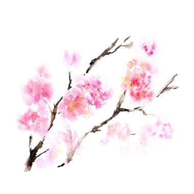 Sakura çiçek şube 