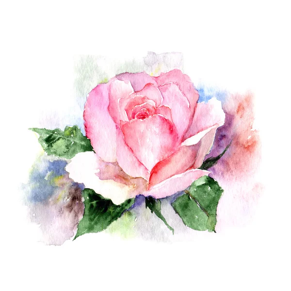 Vintage watercolor rose — Stock Photo, Image