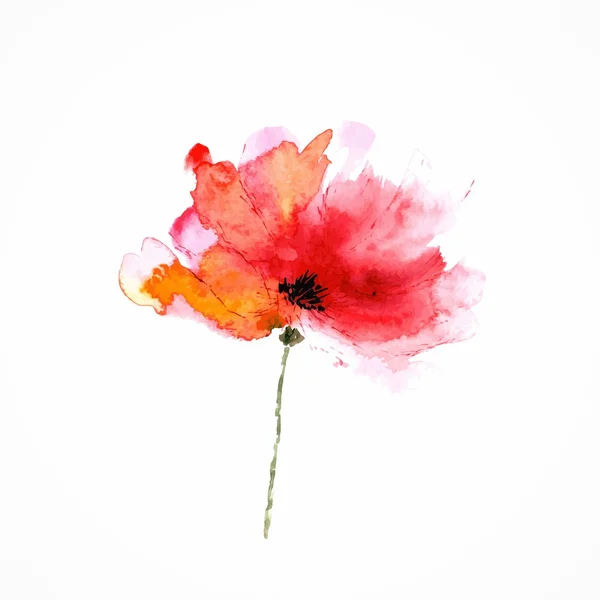 Fleur rouge. Illustration florale aquarelle . — Image vectorielle