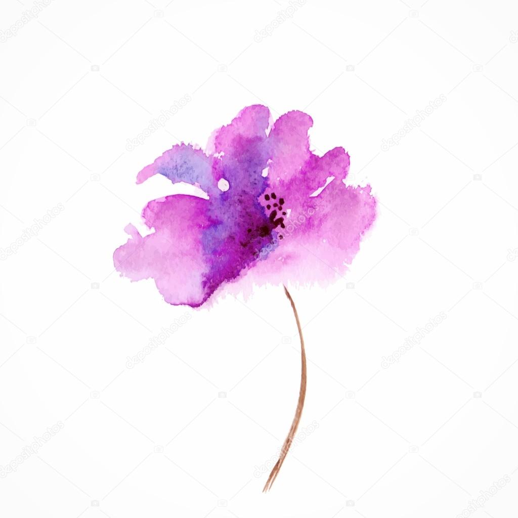 Lilac flower. Watercolor floral illustration.