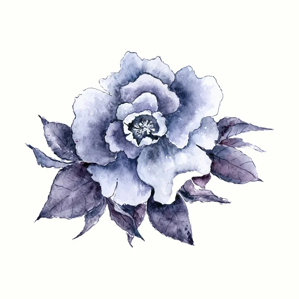 Aquarelle rose fleur. — Image vectorielle