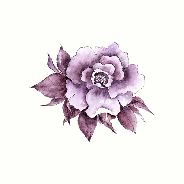 Acuarela rosa flor. — Archivo Imágenes Vectoriales