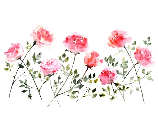 Watercolor floral  background — Stock Photo, Image