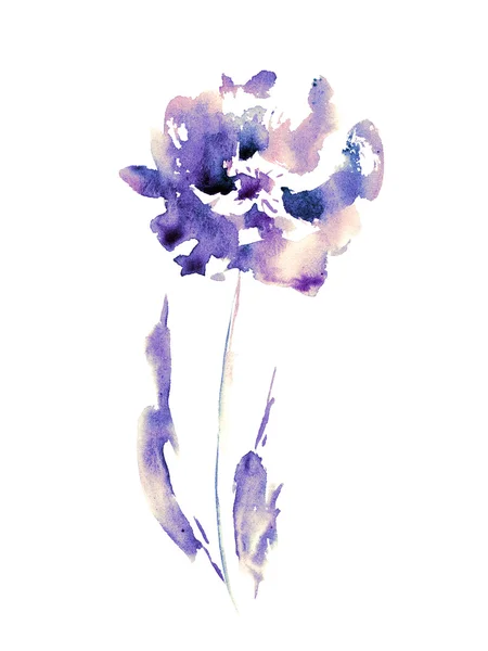 Aquarelle fleur sur blanc — Photo