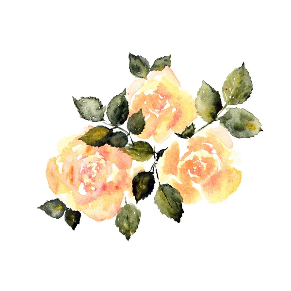 水彩黄玫瑰 — 图库照片