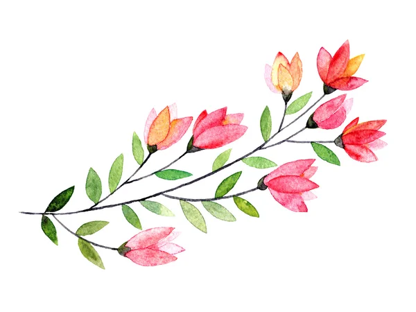 水彩花の枝 — ストック写真