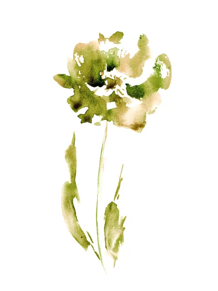 Flor de aquarela em branco — Fotografia de Stock