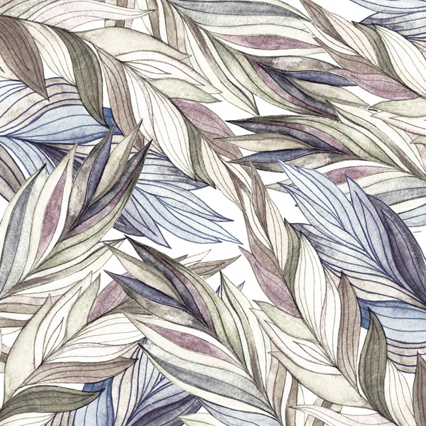 Watercolor feathers background — Stock Photo, Image