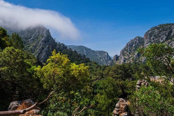 Top view from ancient city of Olympos in May 2021. Cirali, Kemer, Turkey — Stock Photo, Image