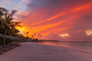 Hint Okyanusu 'nda Maldivler' in kesişen yollarındaki dramatik günbatımı, kümülonimbus bulutları ve palmiye ağaçlarının silüetiyle. Temmuz 2021, uzun pozlama resmi