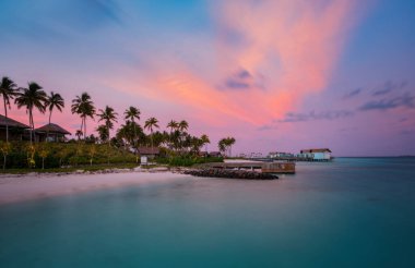 Tropikal sahildeki palmiye ağaçları gün batımında. Maldivler Kavşağı, Hard Rock Oteli, Haziran 2021. Uzun pozlama resmi