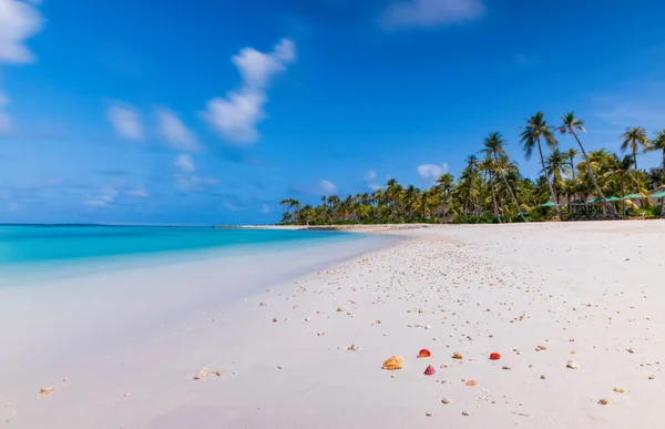 Playa Tropical Solitaria Intacta Maldivas Encrucijada Laguna Saii Julio 2021 — Foto de Stock